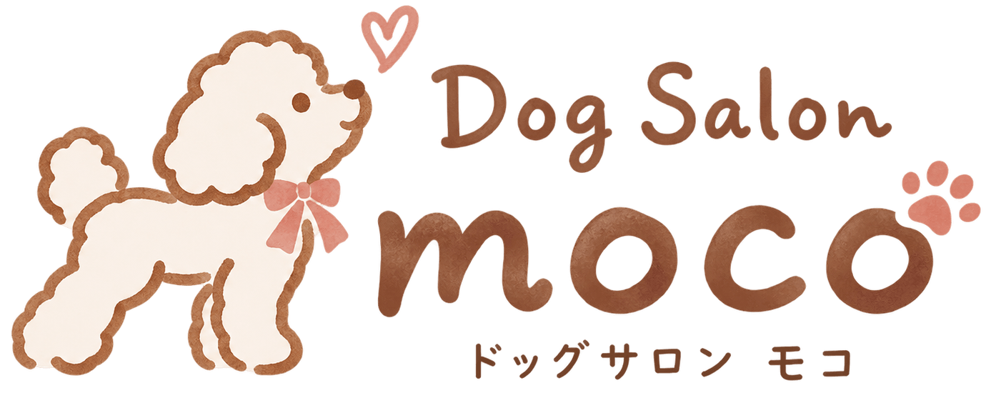 Dog Salon moco ドッグサロン モコ